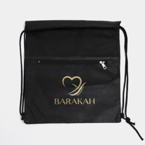 Shoe Bag